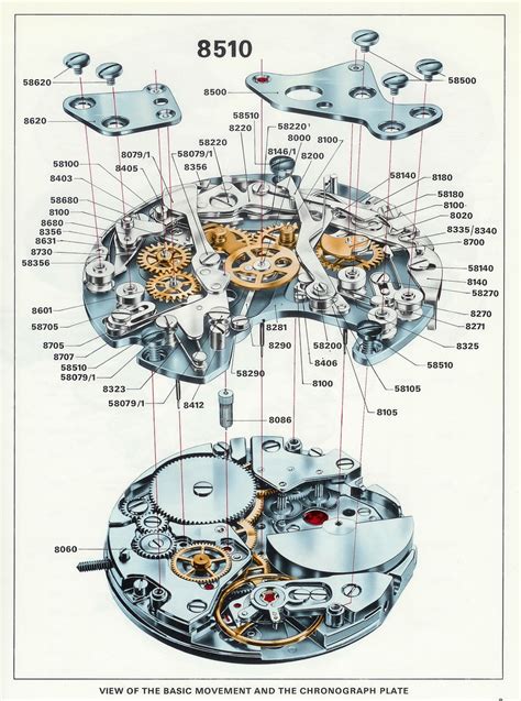 watch diagram parts|illustrated watch parts diagram.